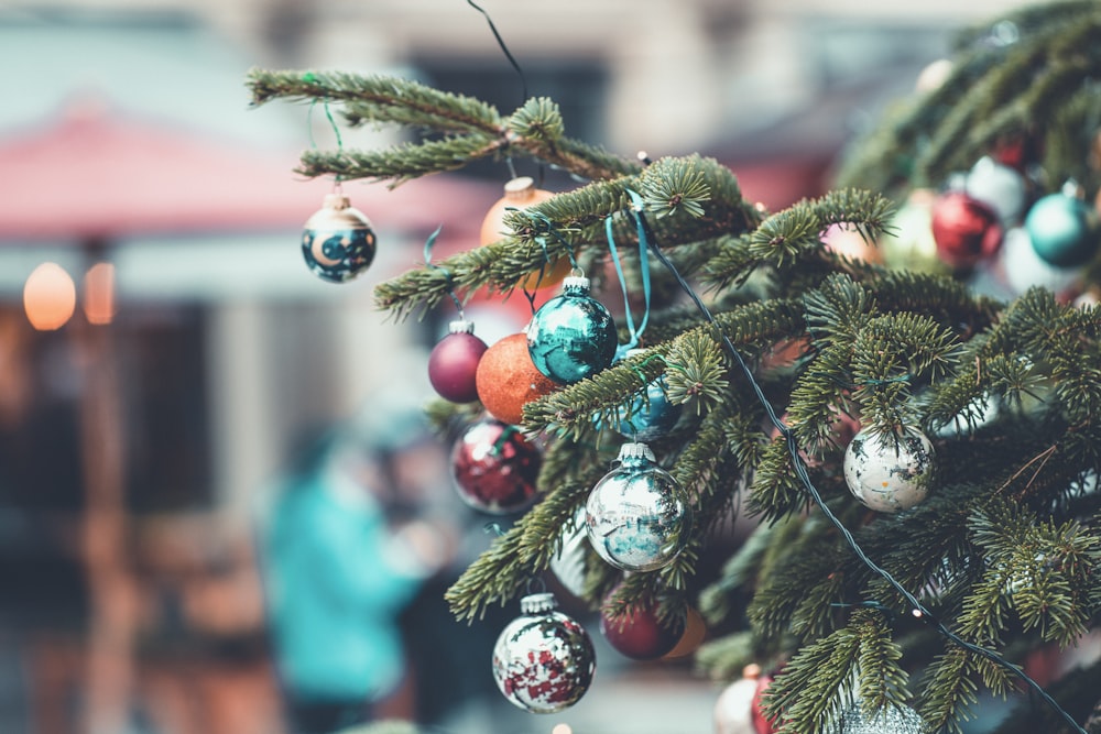 fotografia a fuoco superficiale dell'albero di Natale verde