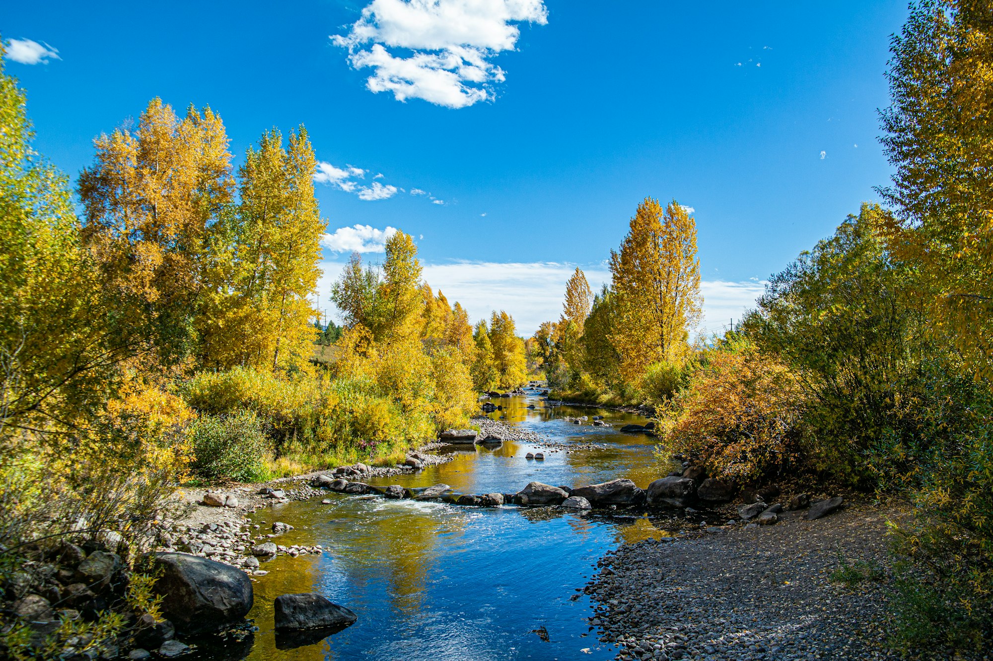 A view of the Yampa River on one of the many trails through Steamboat. 