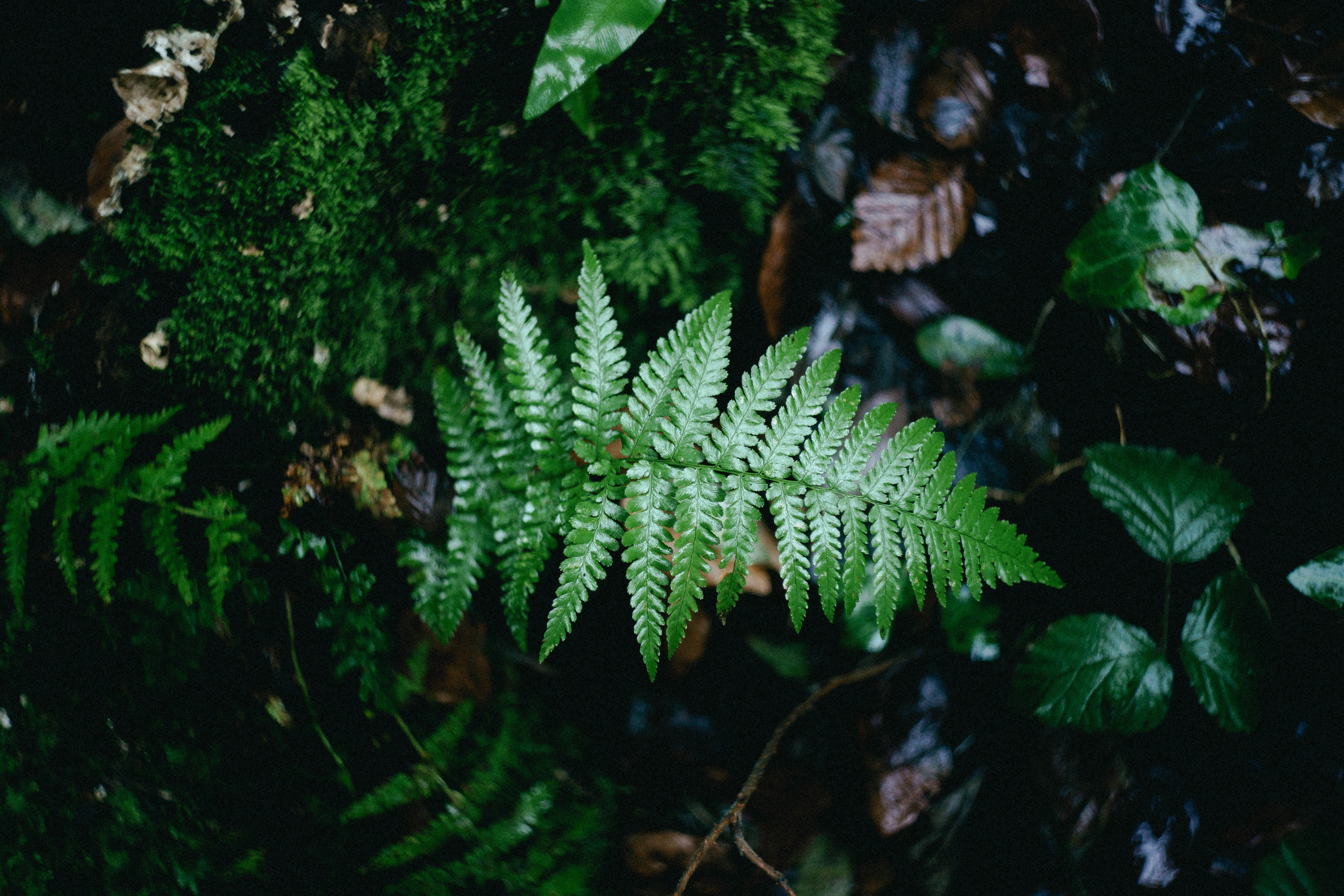 Photo by reubenobery