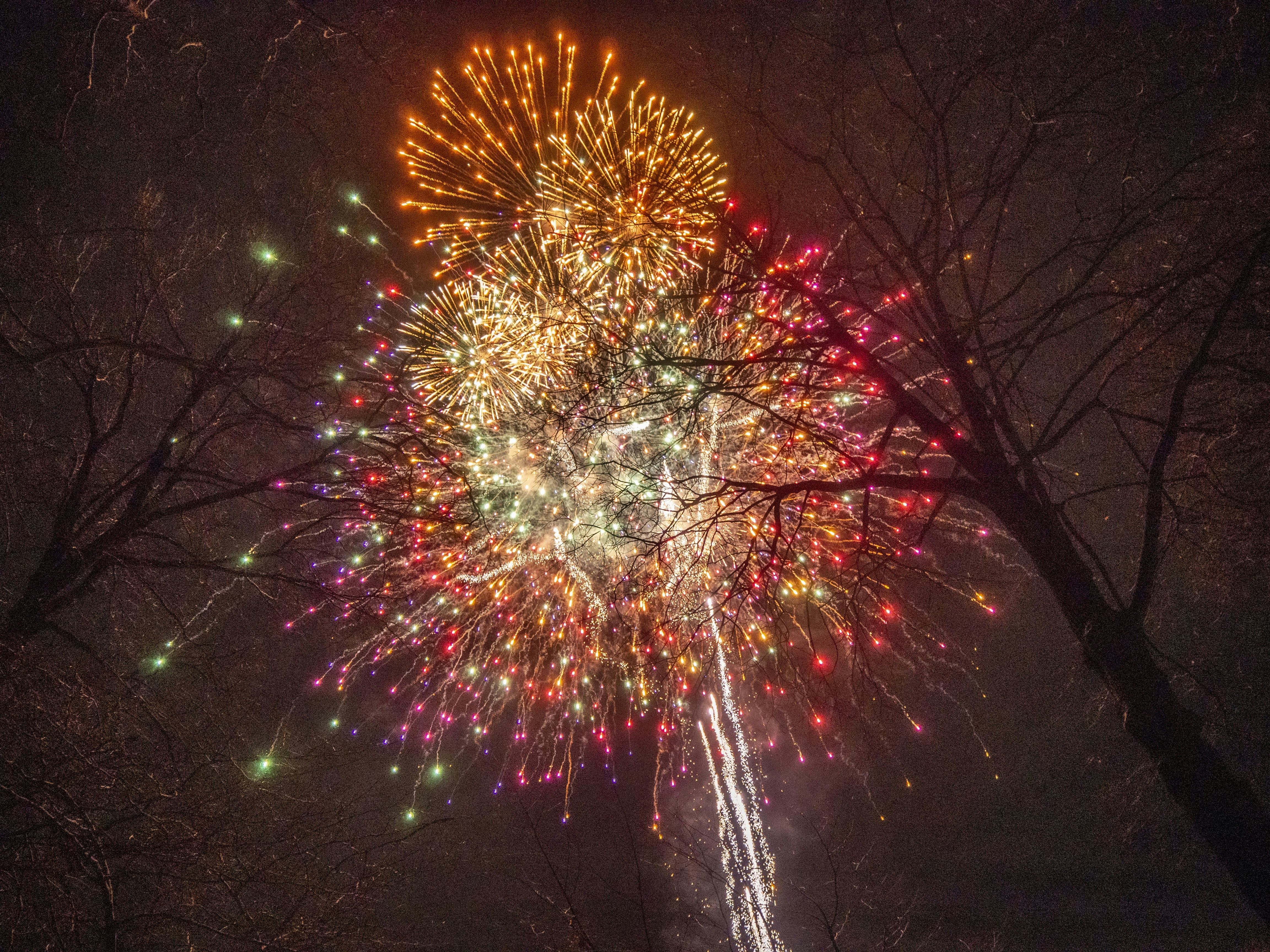 fireworks during night