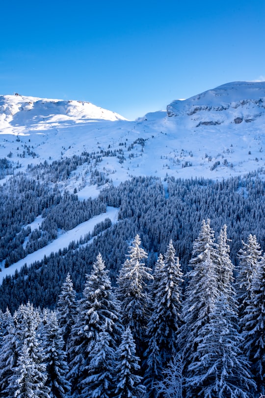 mountain covered with snow in Flaine France