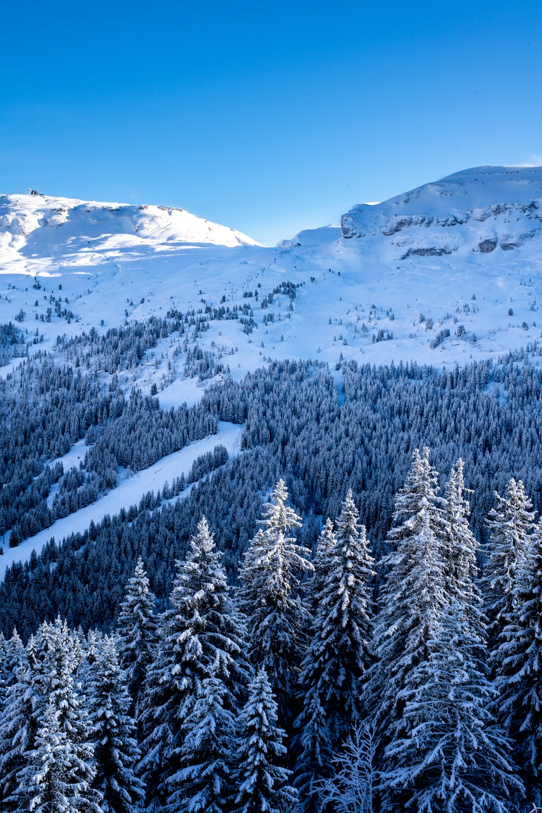 Mountain photo spot Flaine Chartreuse