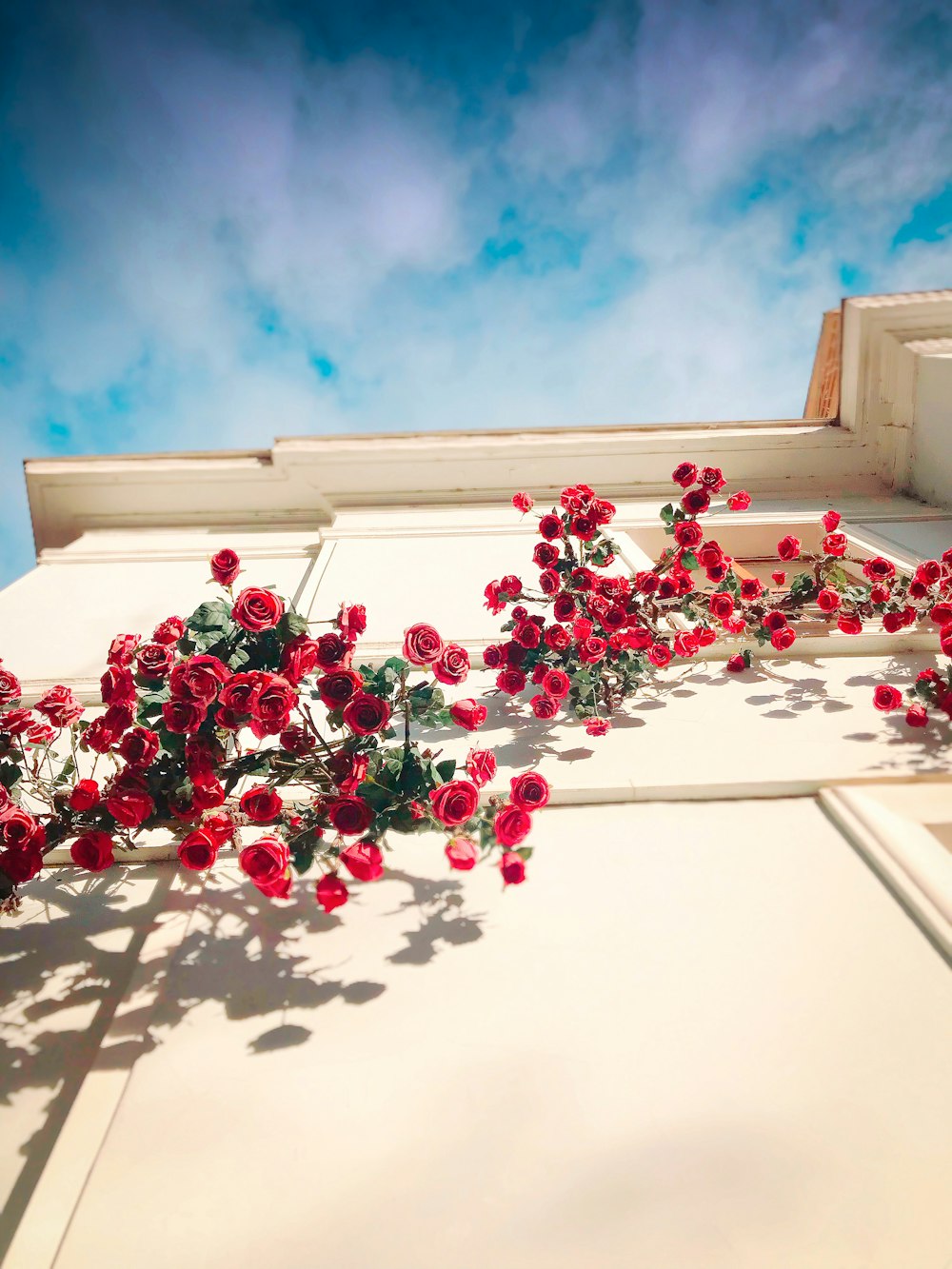 red flower wall decor