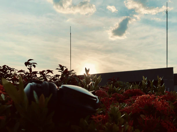 Sunset view over the peaceful garden area of Refúgio Solare with blooming flowers.