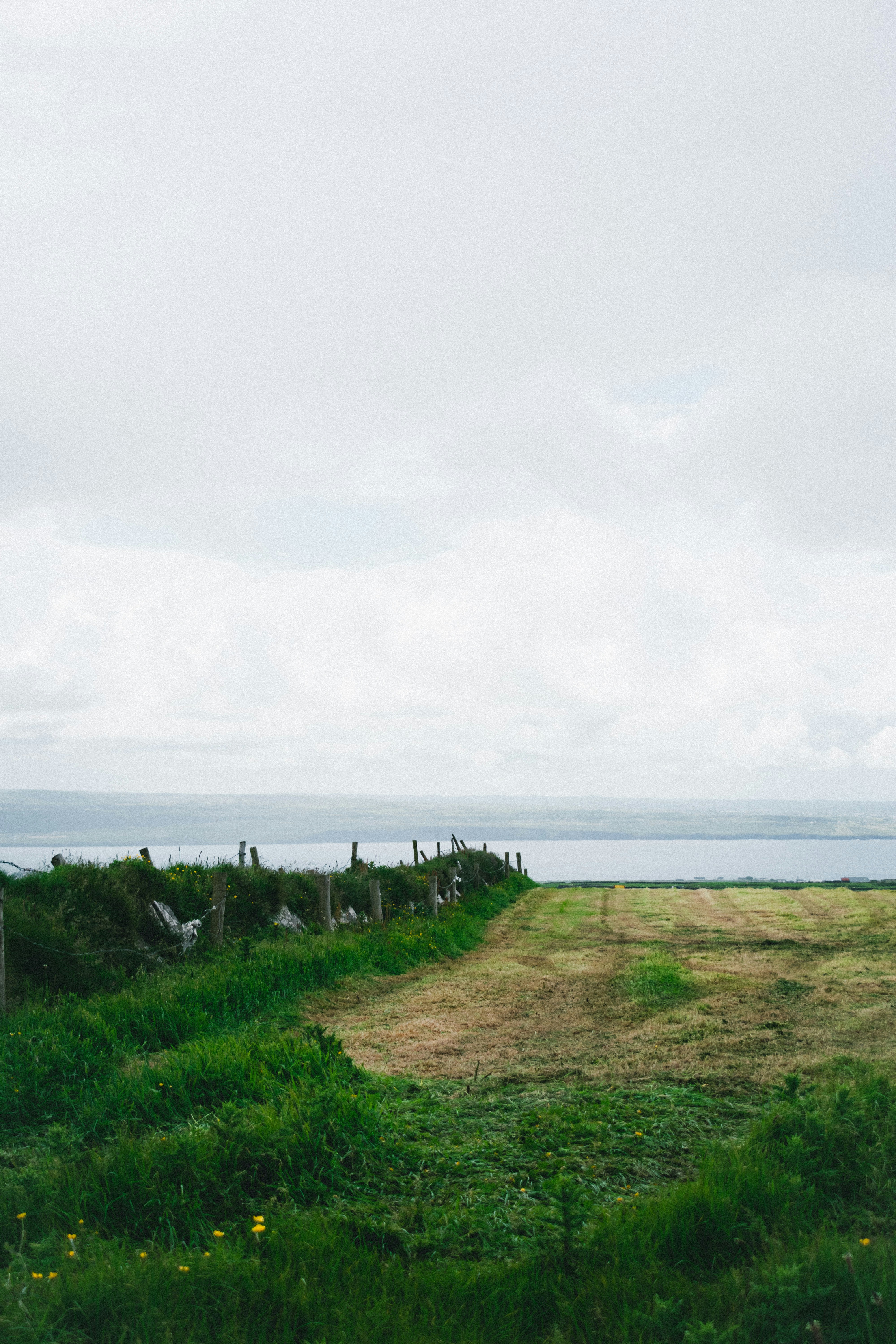 Photo by damiano_baschiera