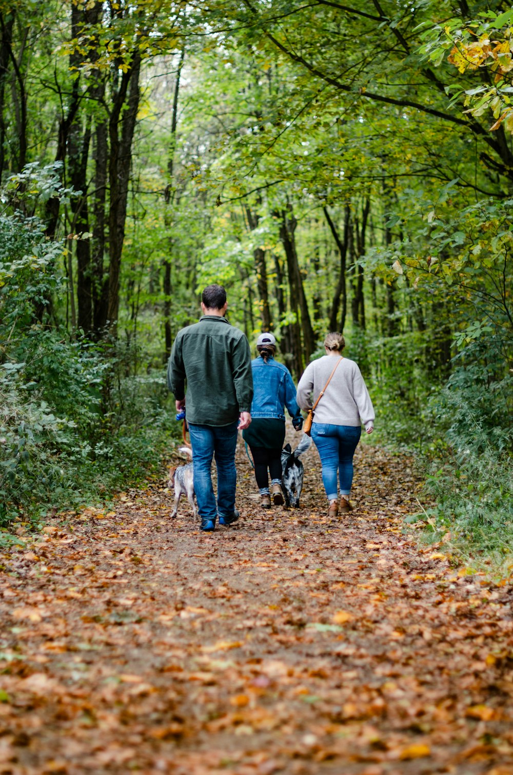 unknown persons walking on trail