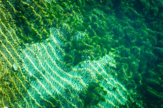 body of water in Lake Jasna Slovenia