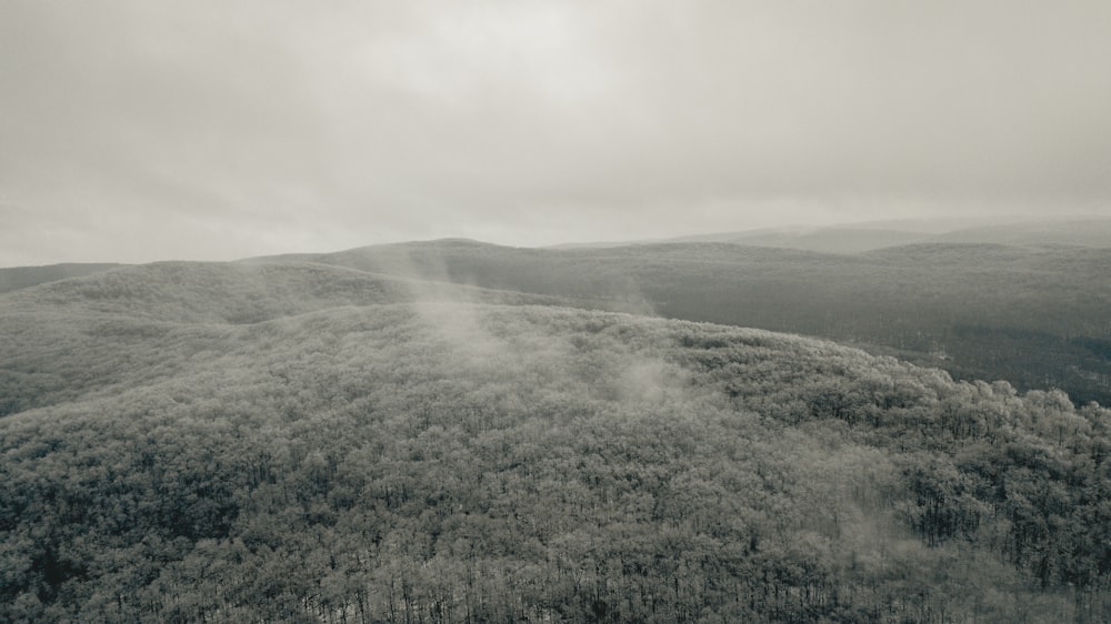 campo de hierba verde bajo nubes blancas durante el día