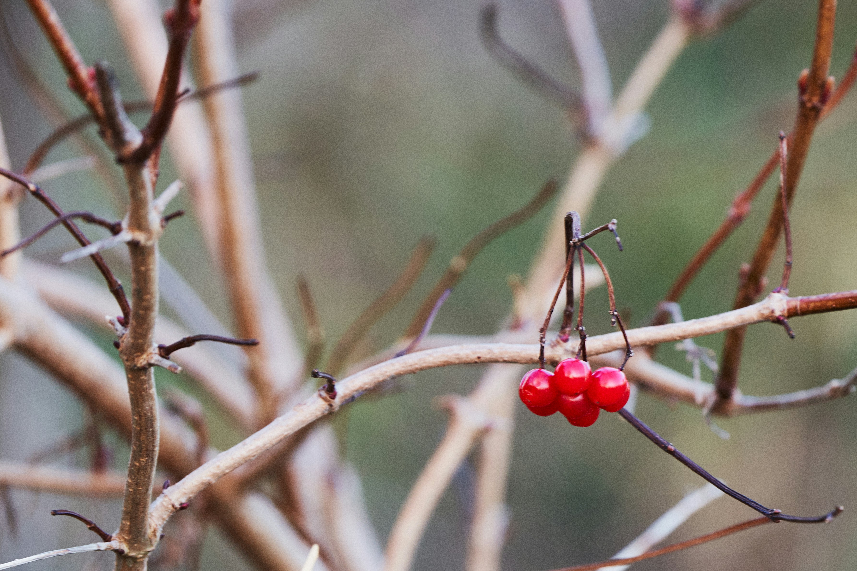 Photo by ingodoerrie