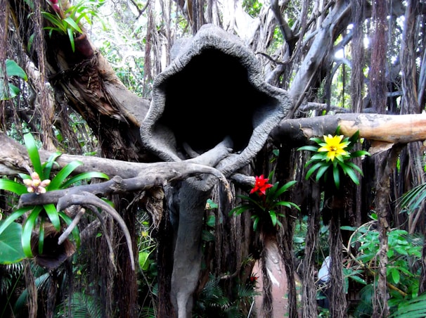 A large, ancient tree with thick, gnarled branches and a hollow trunk dominates the scene. Brightly colored flowers, including yellow and red bromeliads, grow from the branches. Dense green foliage surrounds the tree, creating a lush jungle-like atmosphere.