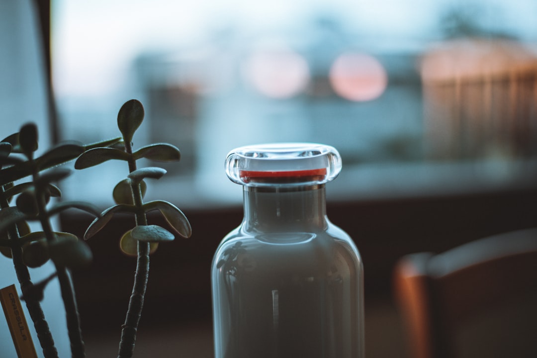 macro photography of green succulent plant near clear glass bottle