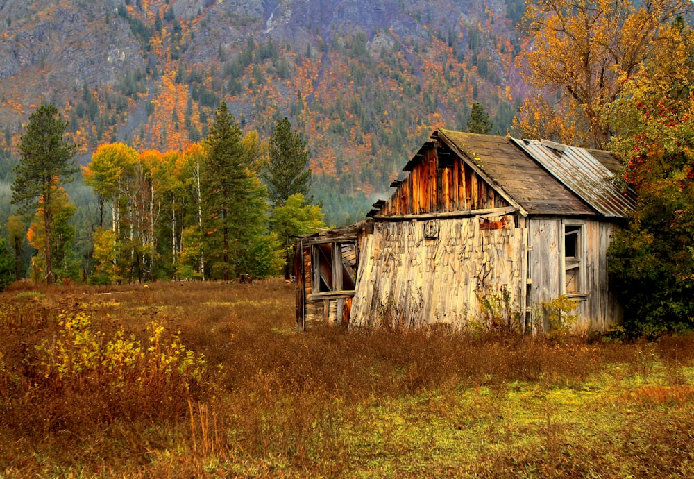 Photographie de hangar de grange en bois brun