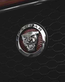selective focus photography of Jaguar emblem