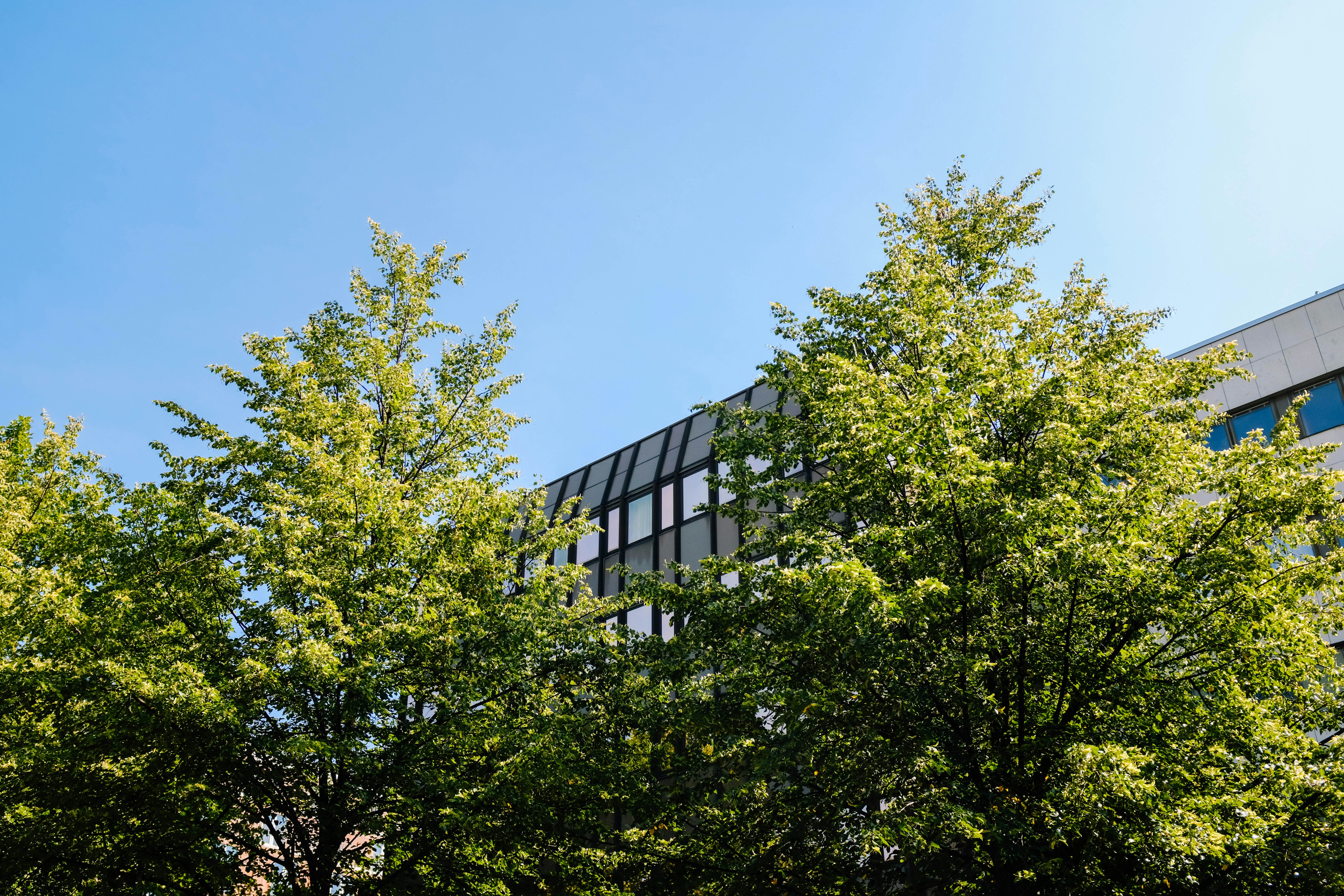 Photo by adrienolichon