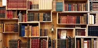 books on a shelf photograph