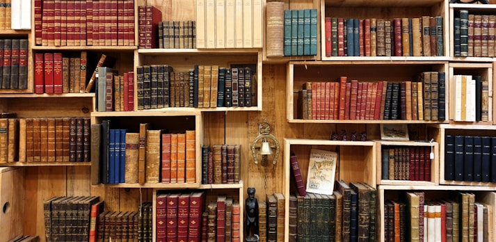 books on a shelf photograph