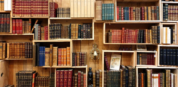 books on the shelf photograph