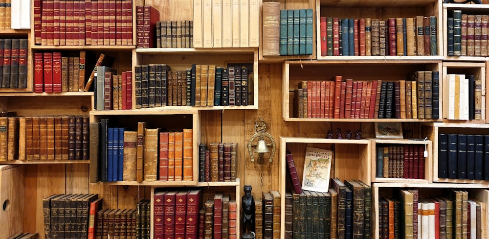 books on the shelf photograph