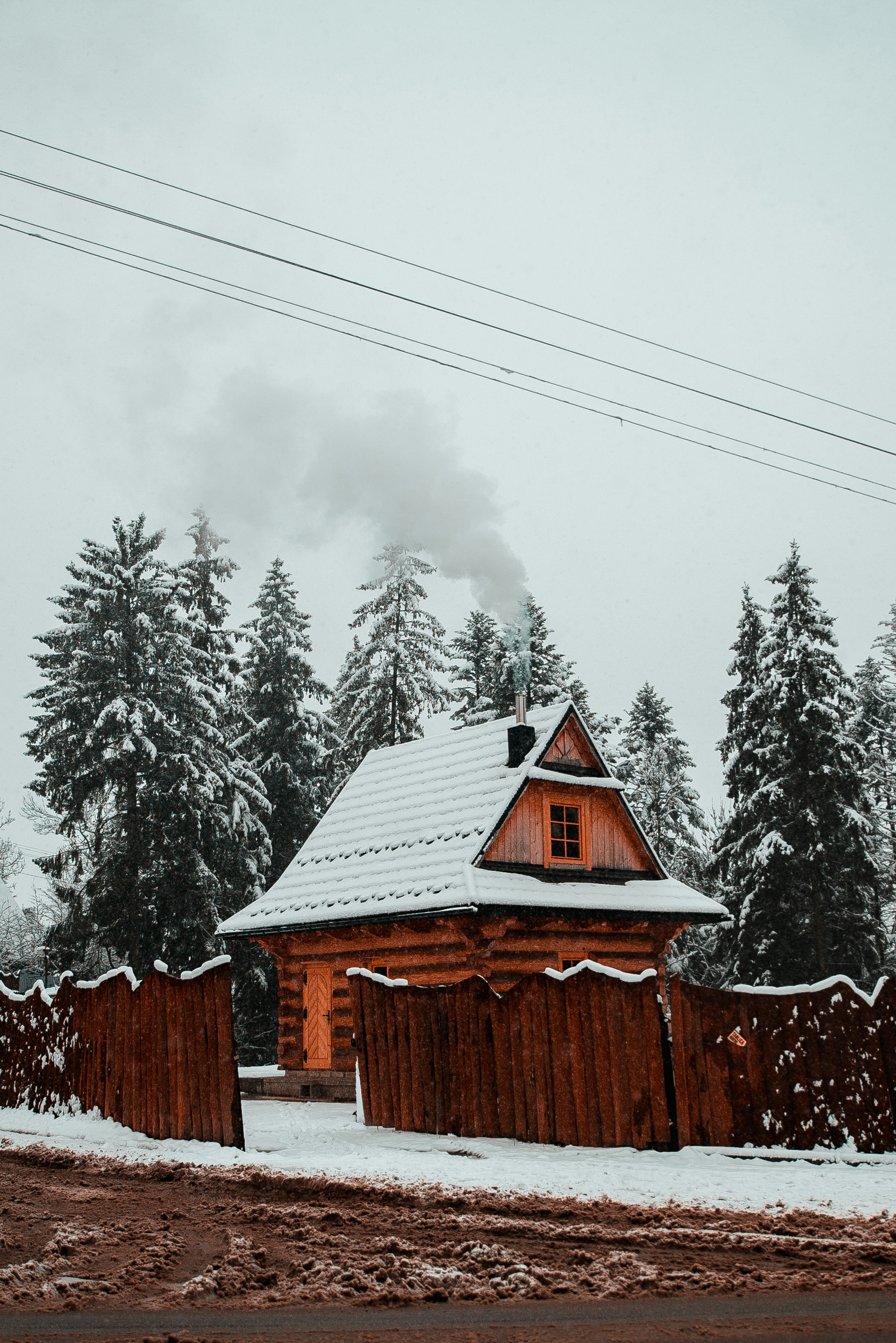 Photo by nzokajohn