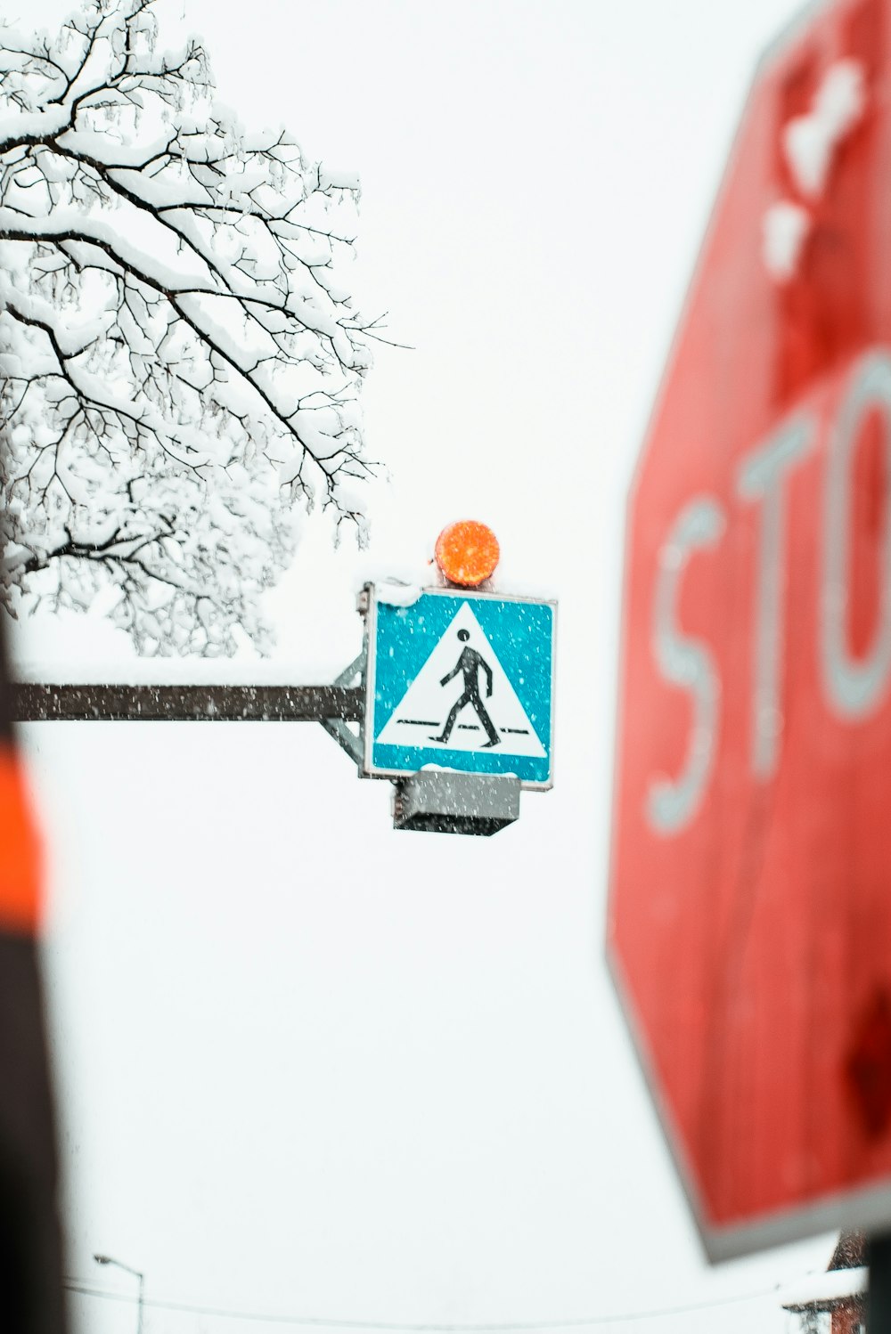 selective focus photography of red traffic sign