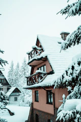 A Pinecrest Guard team member checking a cozy mountain home’s exterior with snow-capped peaks in the background.