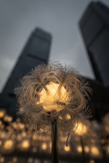 A close-up of handcrafted steel garden art glowing softly in natural light.