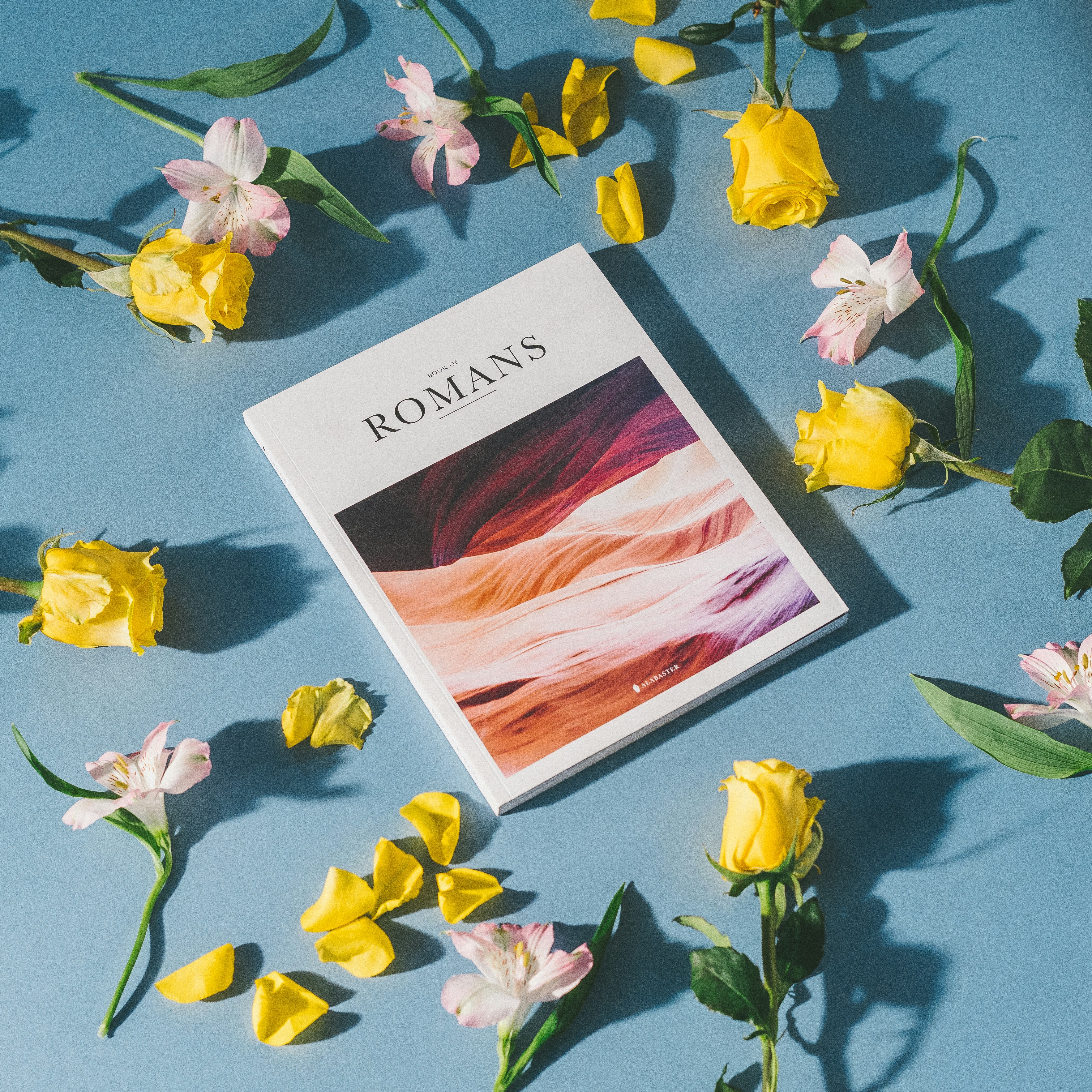 The Book of Romans-Bachelor of Ministry Course