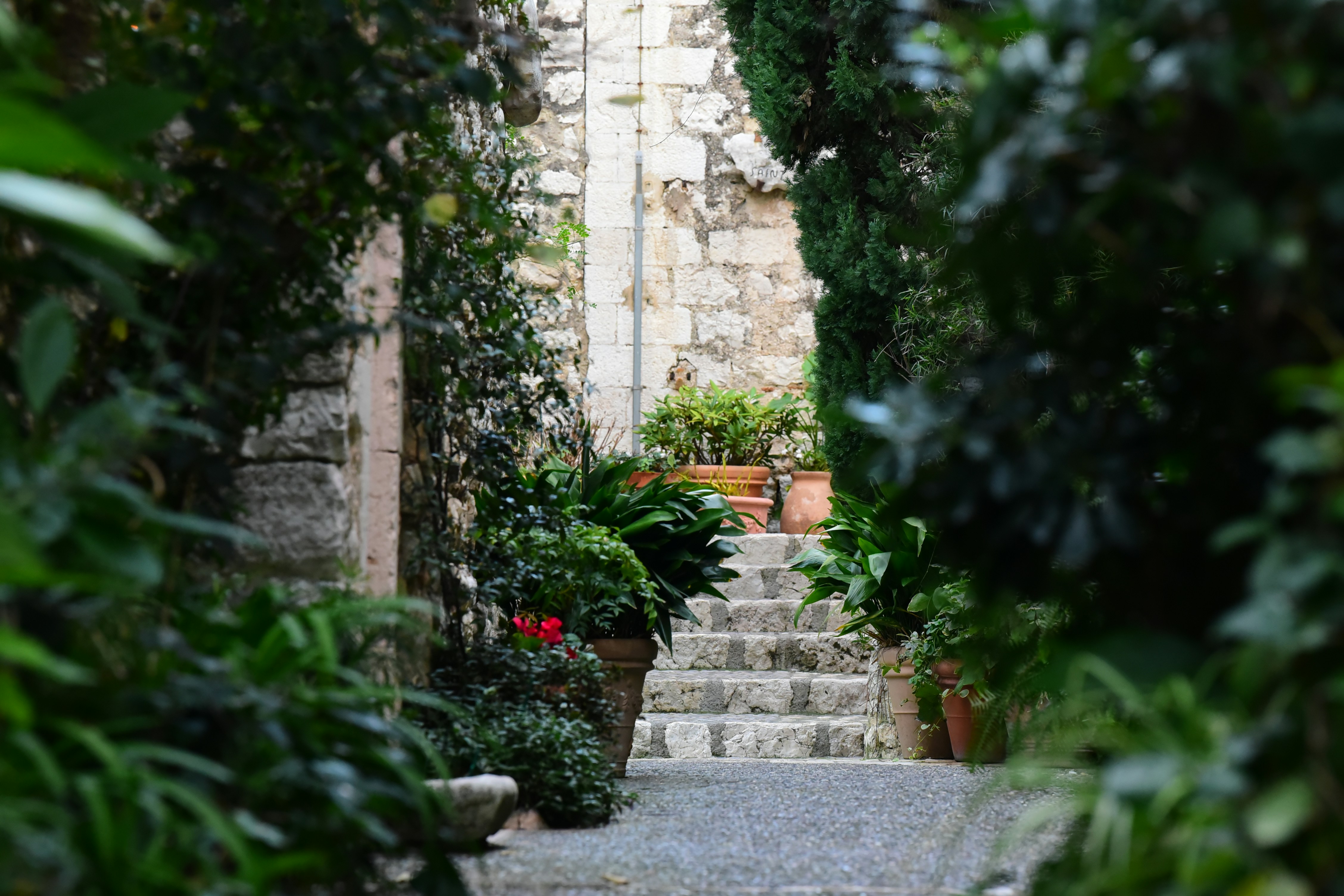 Photo by pictureseeker