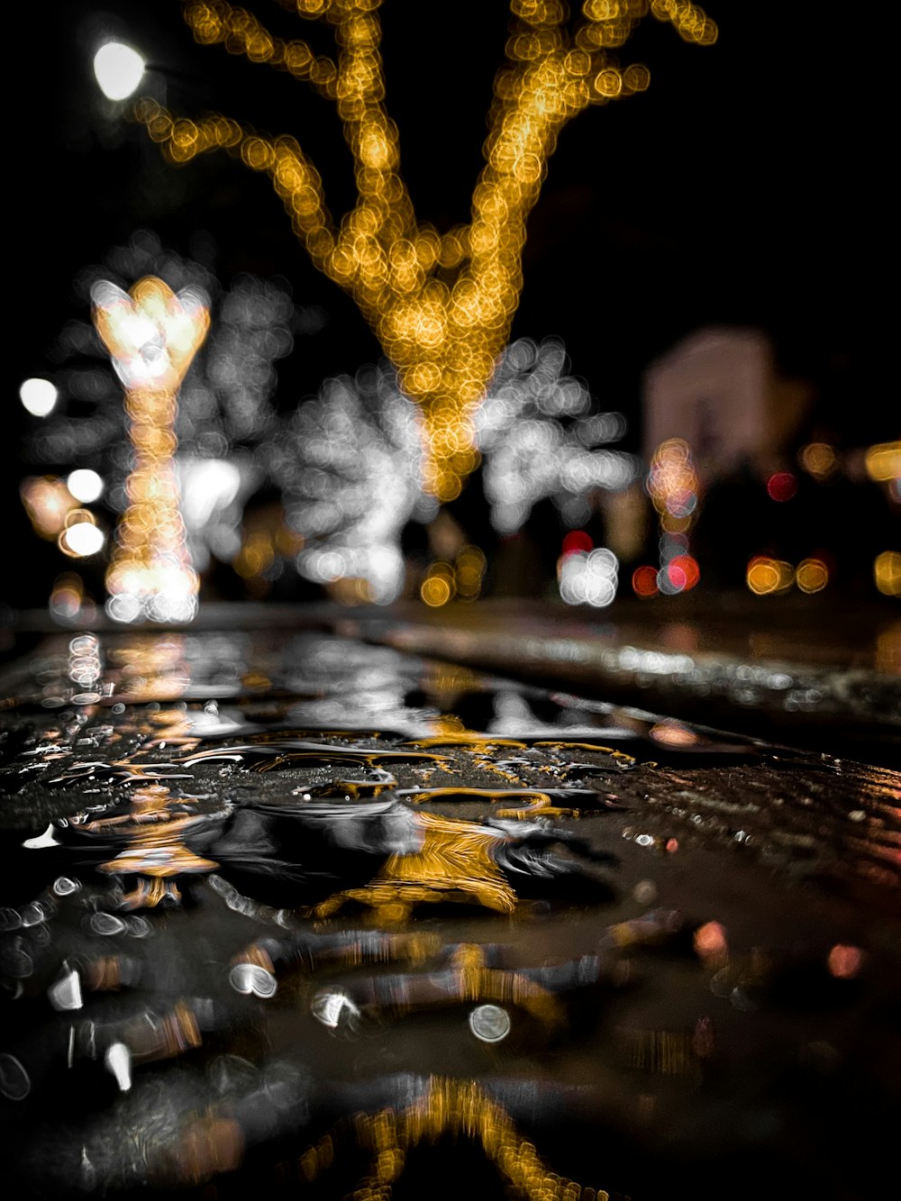 selective focus photography of lights reflecting on water puddle