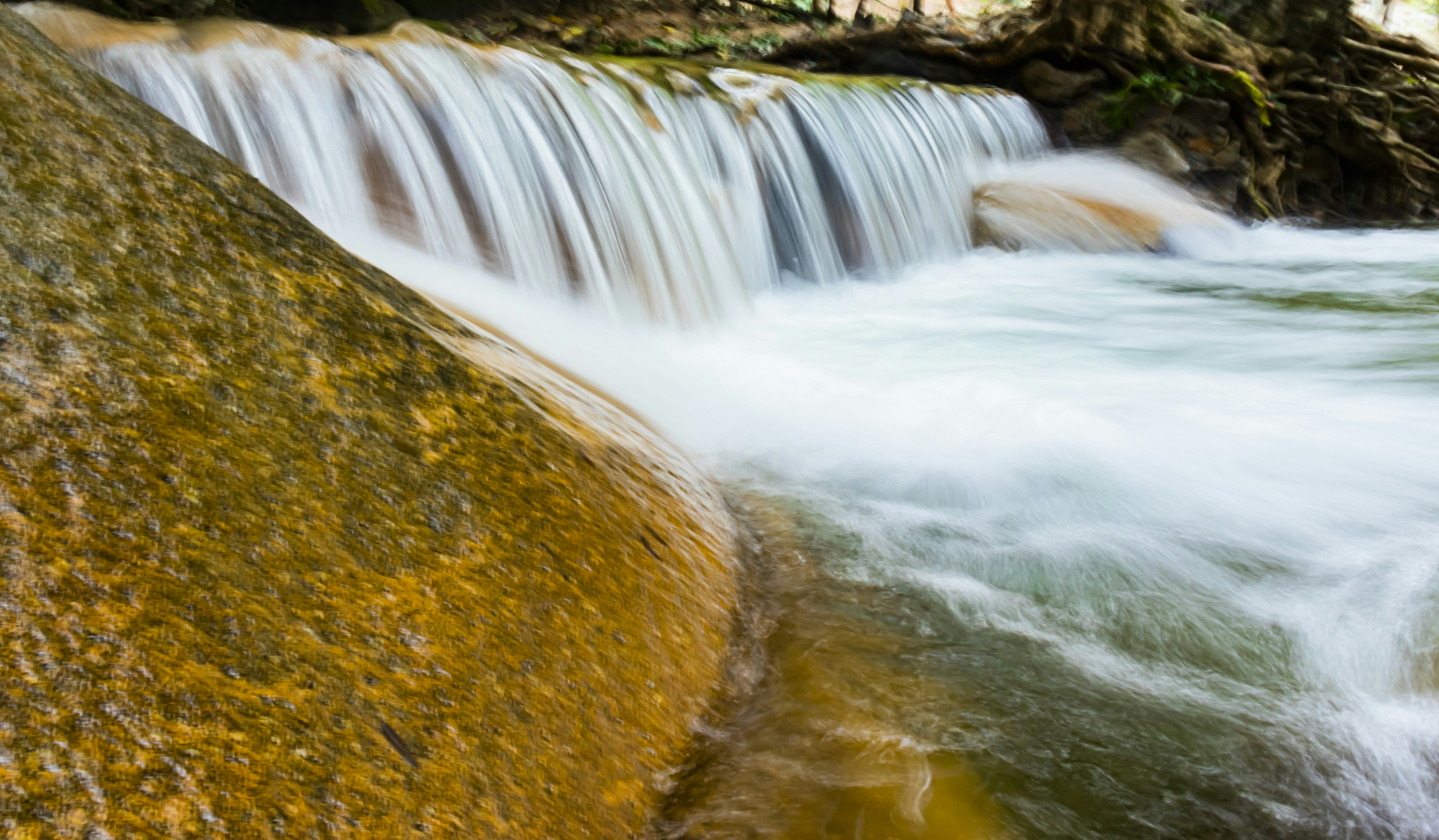 Photo by filisantillan