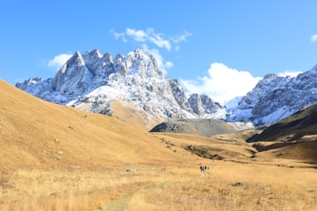 Snow-capped mountains stand majestically under a clear blue sky. In the foreground, a golden meadow with sparse vegetation extends towards the mountains. A group of hikers can be seen walking along a trail towards the base of the mountains.