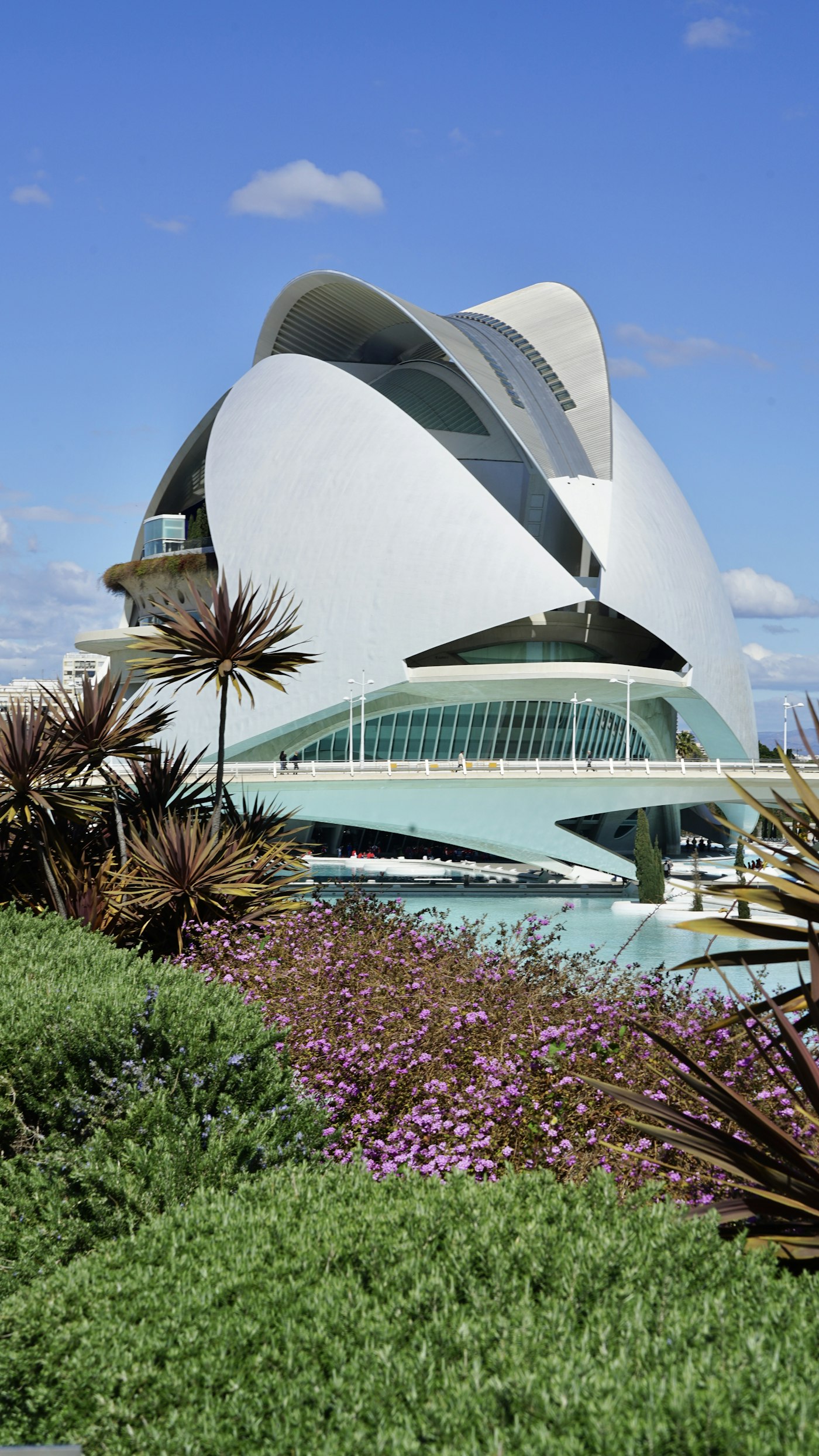 The City of Arts and Sciences complex in Valencia, designed by Santiago Calatrava