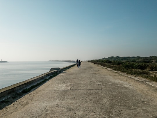 two person walking on bay during daytime in Aveiro Portugal