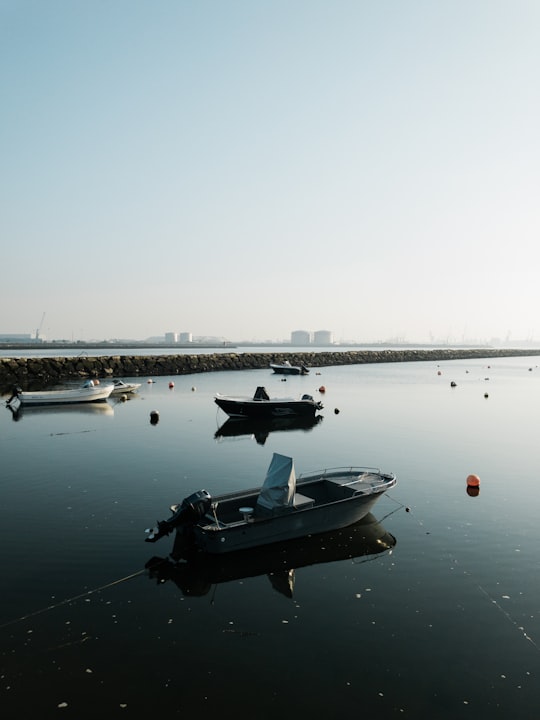 boats on body of water during daytime in Aveiro Portugal