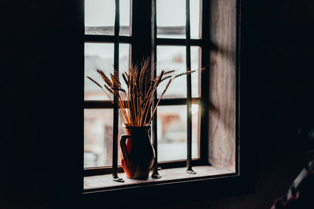 brown vase beside glass window