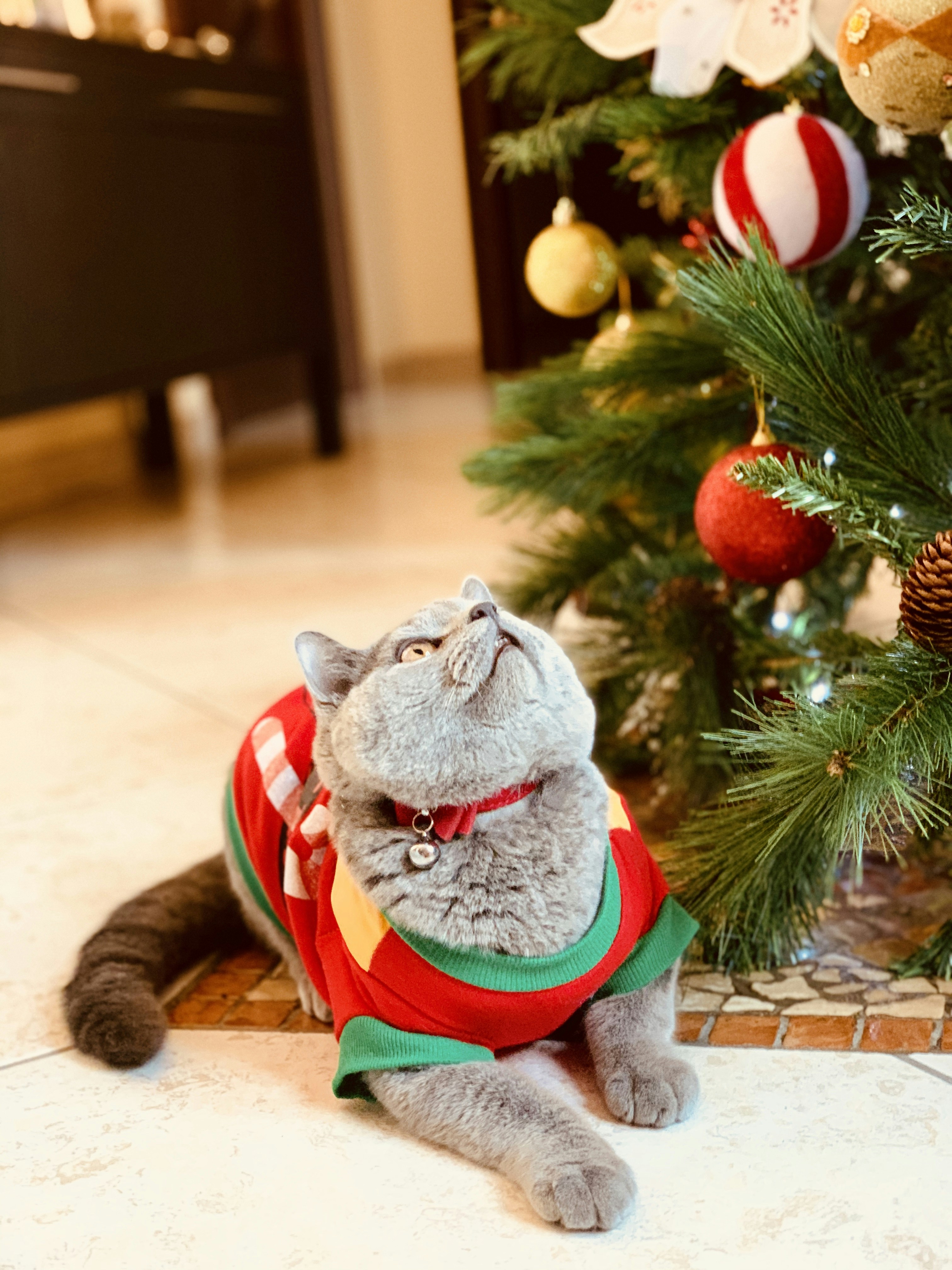 baubles on Christmas tree