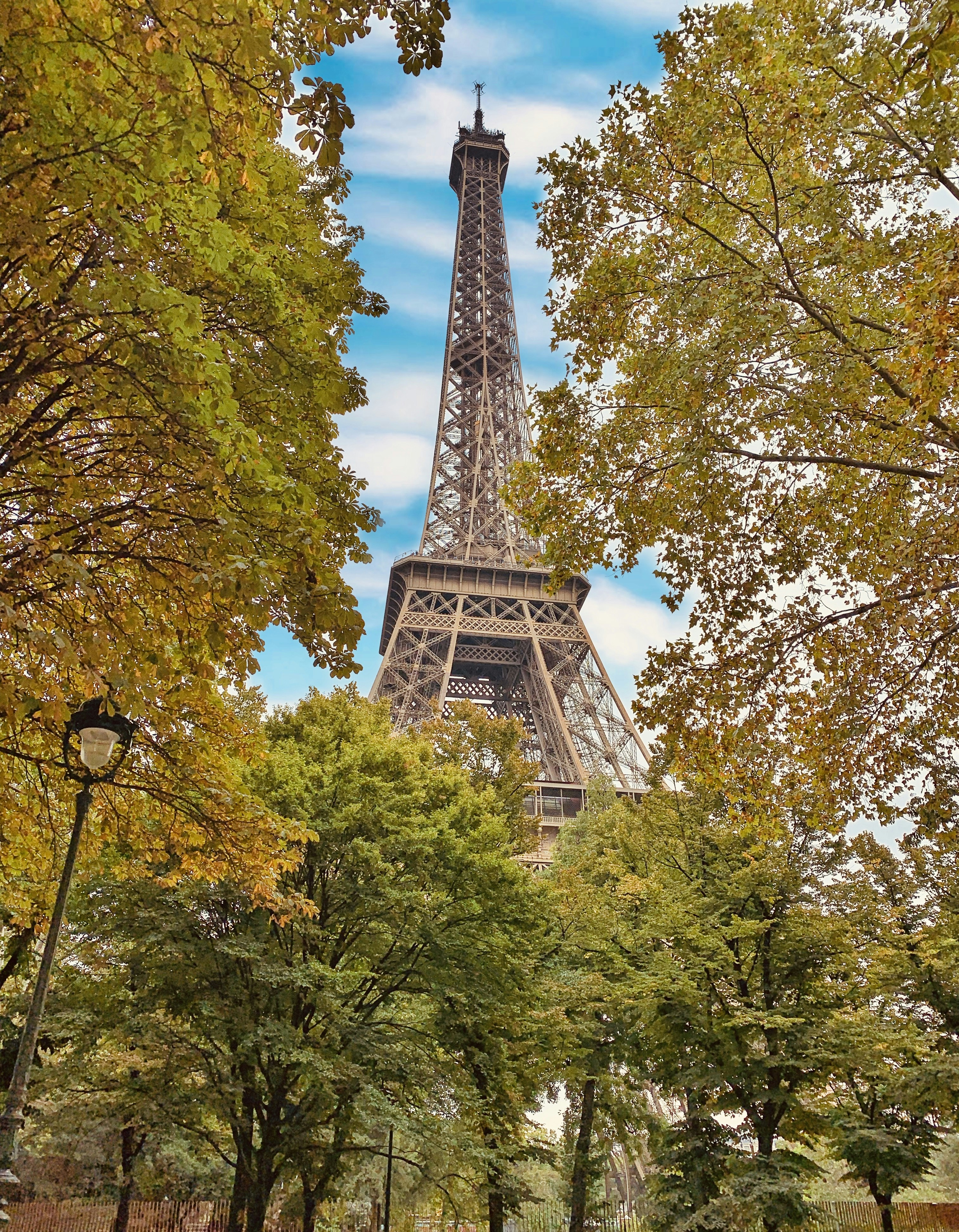gray Eiffel Tower surrounded by trees
