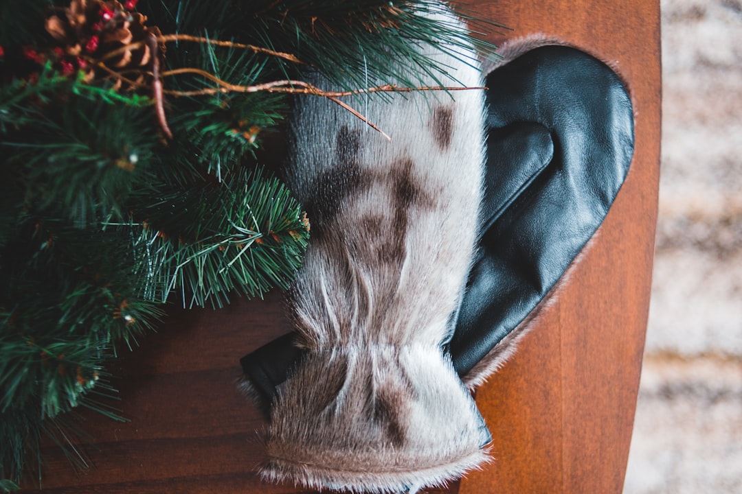 macro photography of white-and-black gloves near Christmas tree with brown pinecone