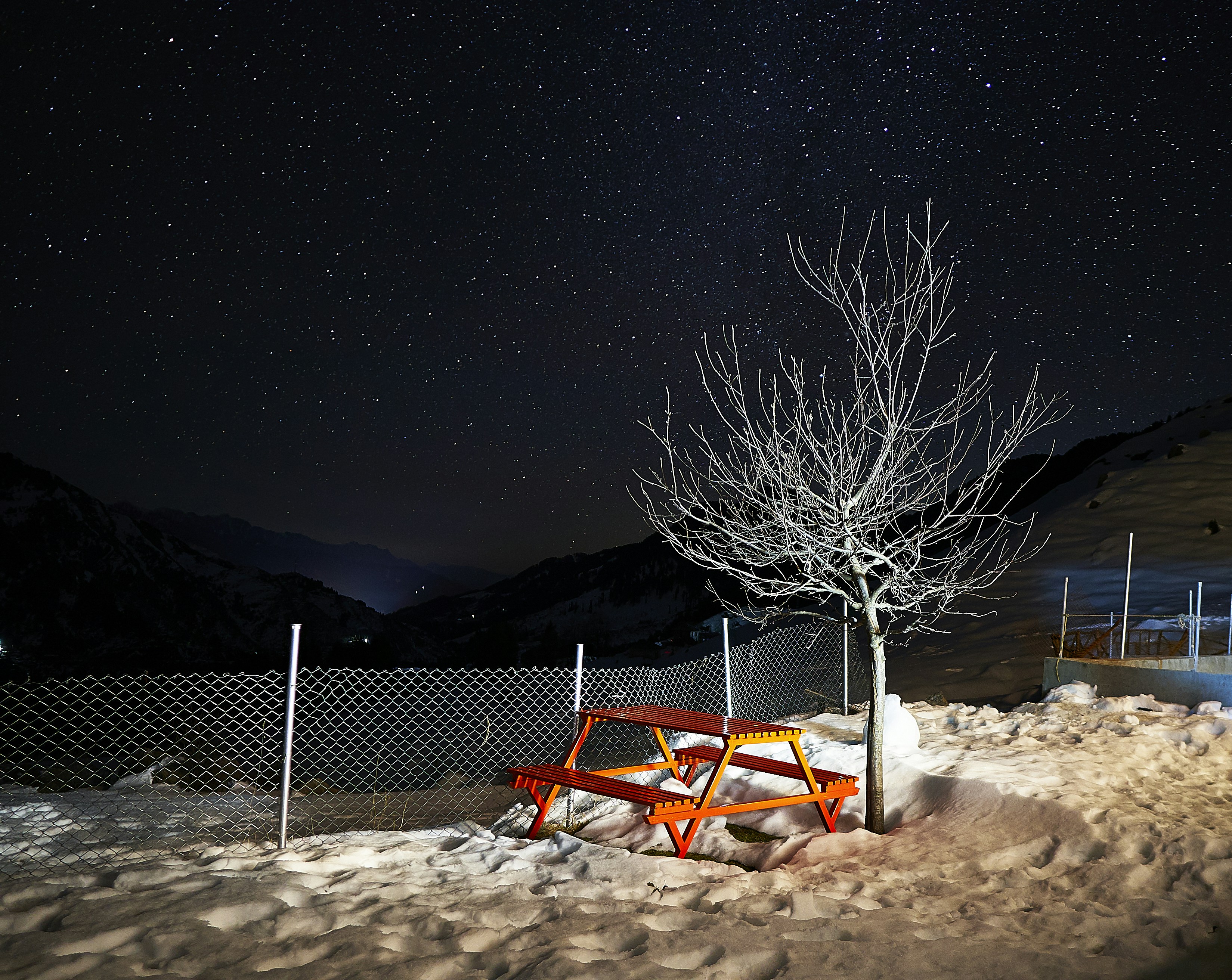 picnic table beside bare tree and fence on snowfield during night