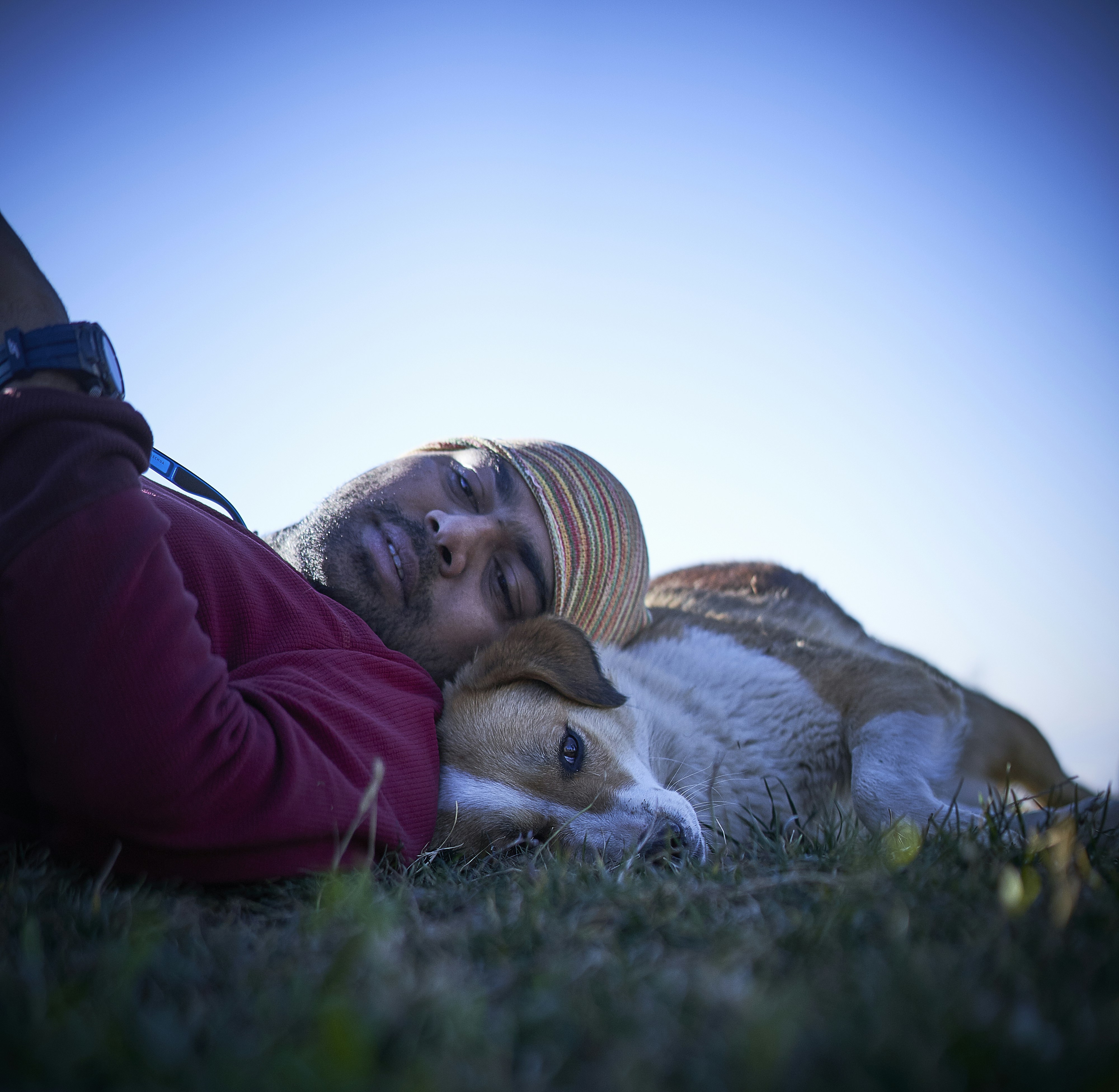 woman dog portrait