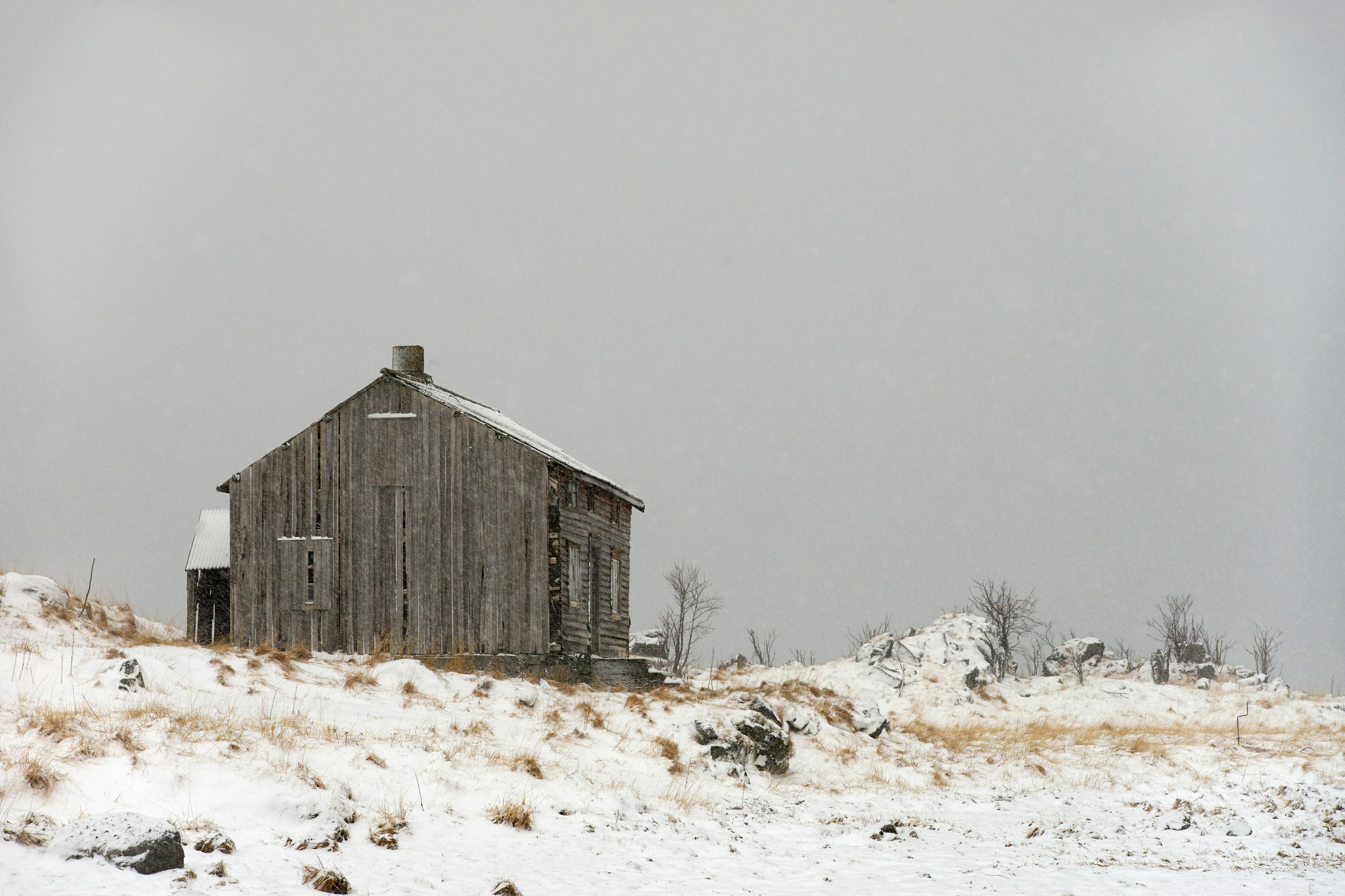 Photo by wolfgang_hasselmann