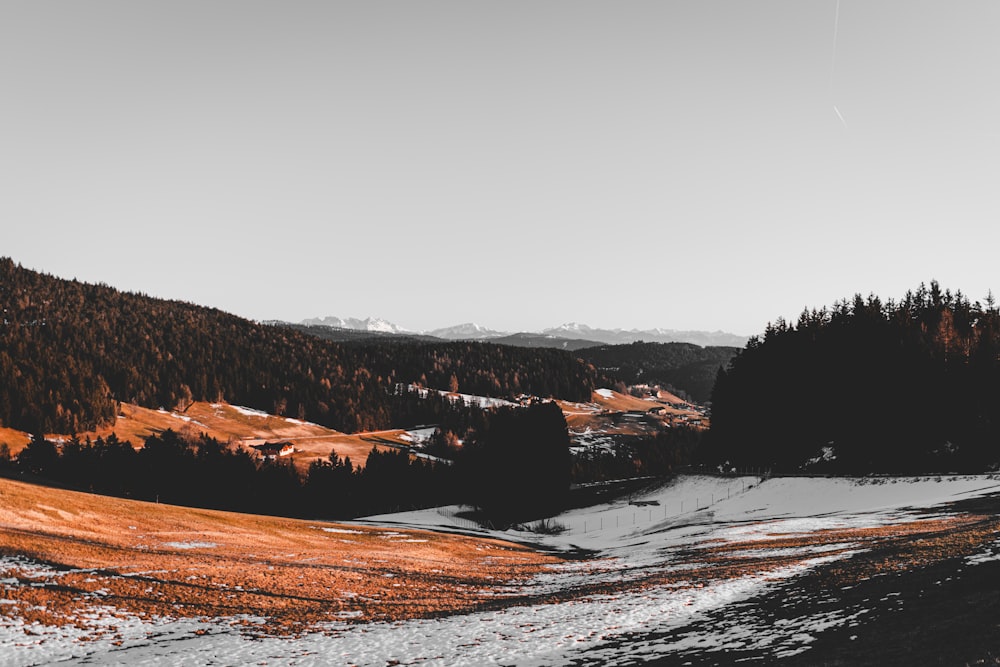 montagnes avec des arbres pendant la journée