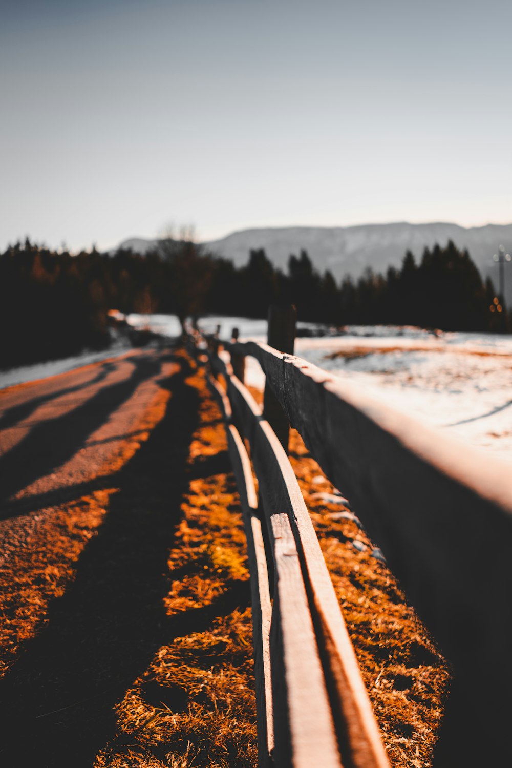 fence during golden hour