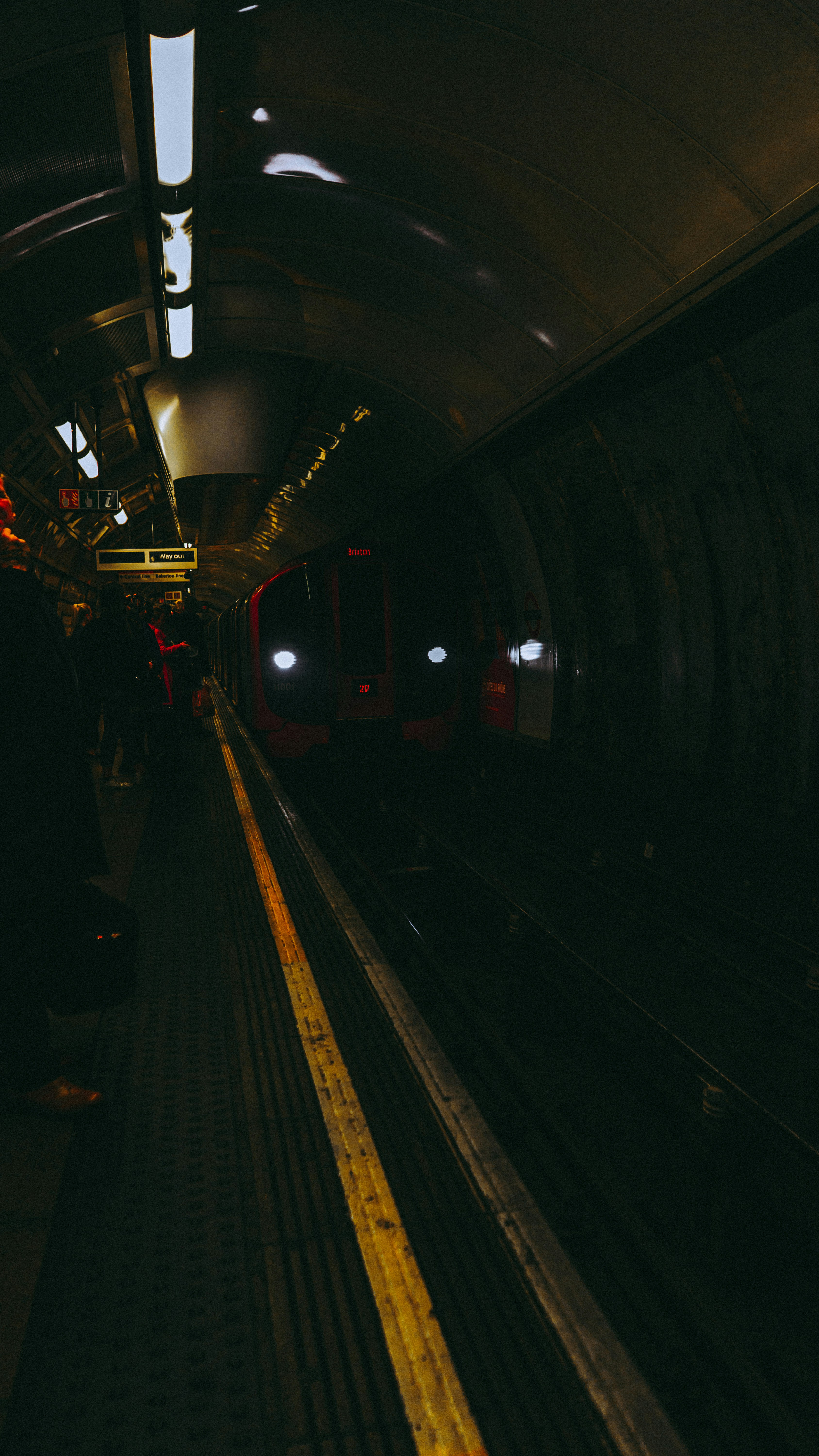 Photo by virussinside