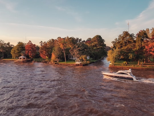 photo of Tigre River near Palacio Barolo