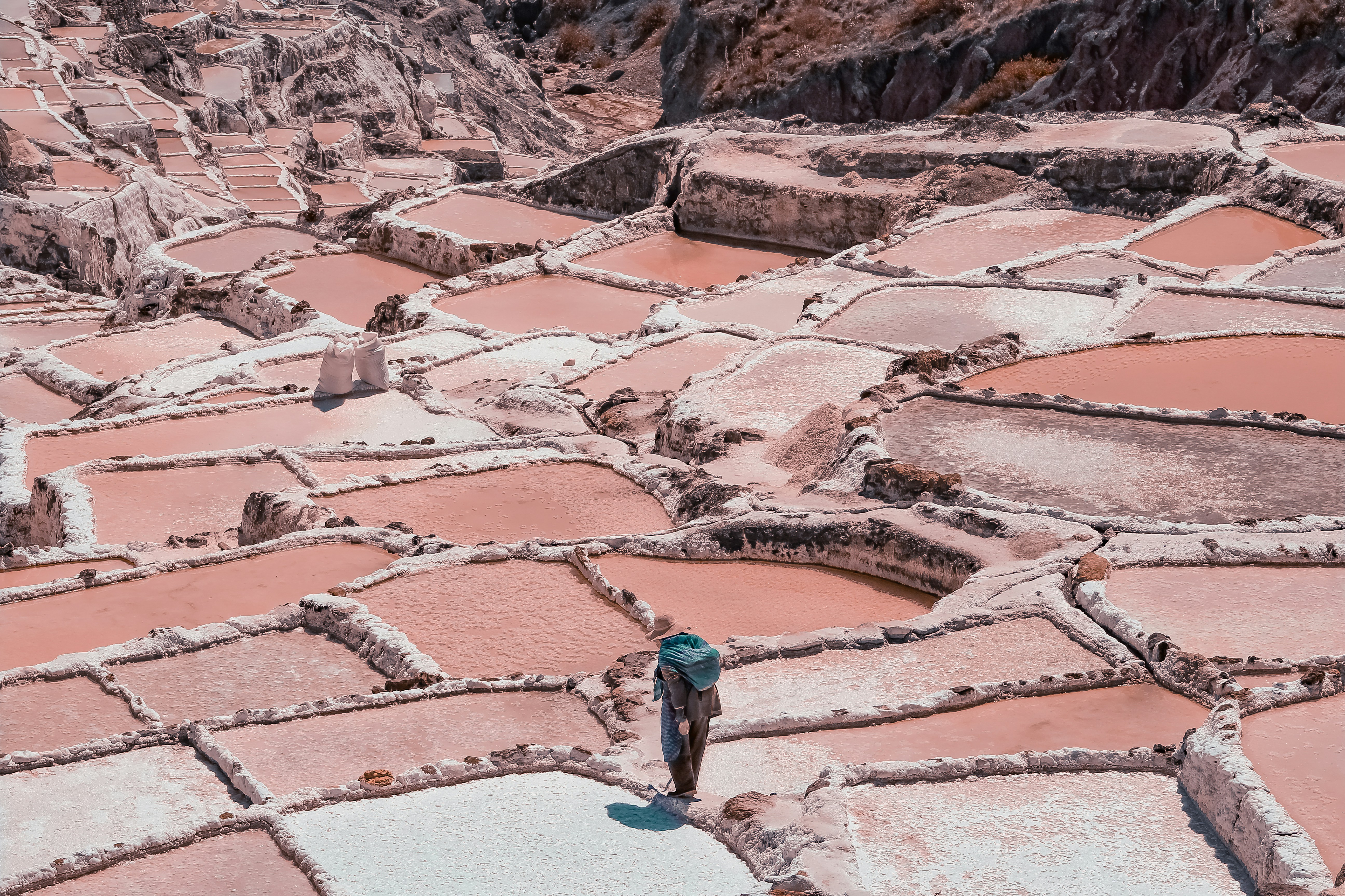 person on the brown field