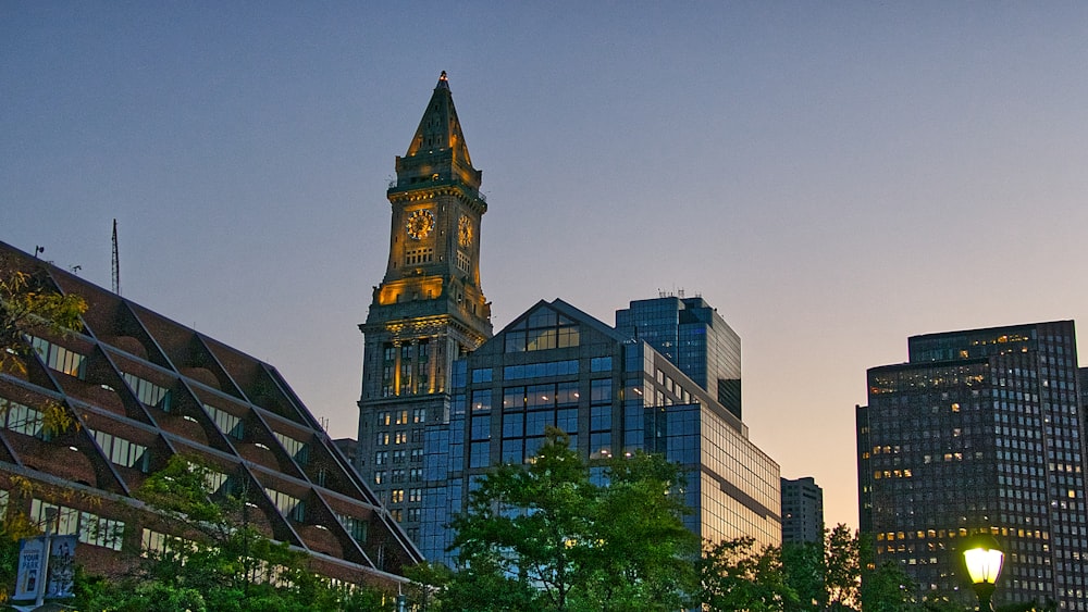 Elizabeth tower near glass buildings at daytime