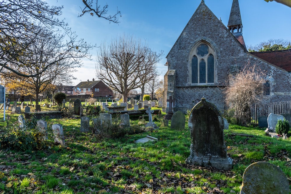 houses near cemetery under blue and white sky