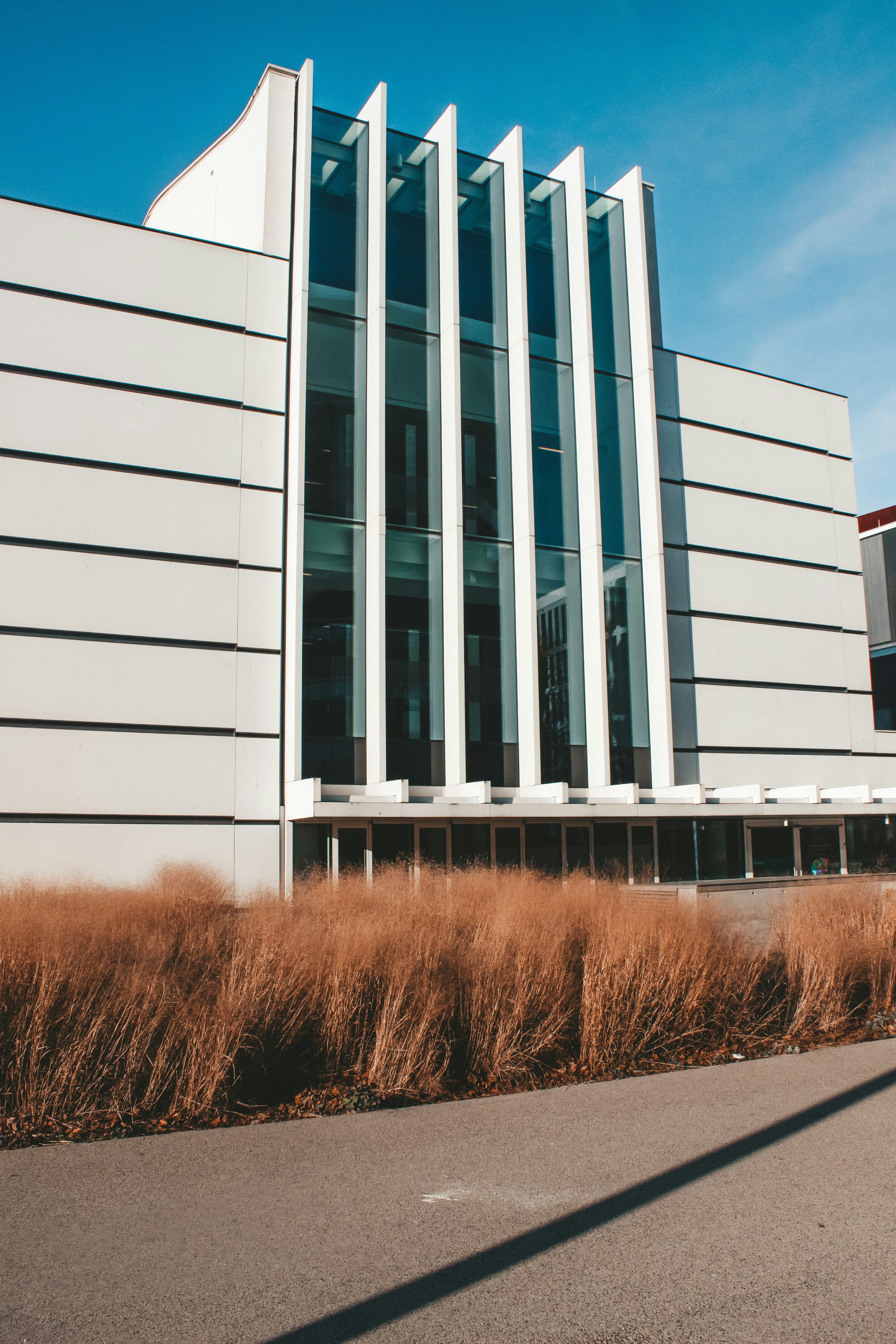 Photo by dariashkapina