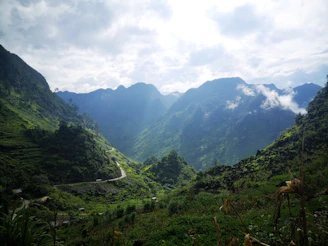 A scenic view of a winding road through lush green mountains at sunrise.